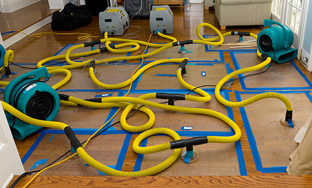 Professional Water Extraction technician working in Clairfield, TN